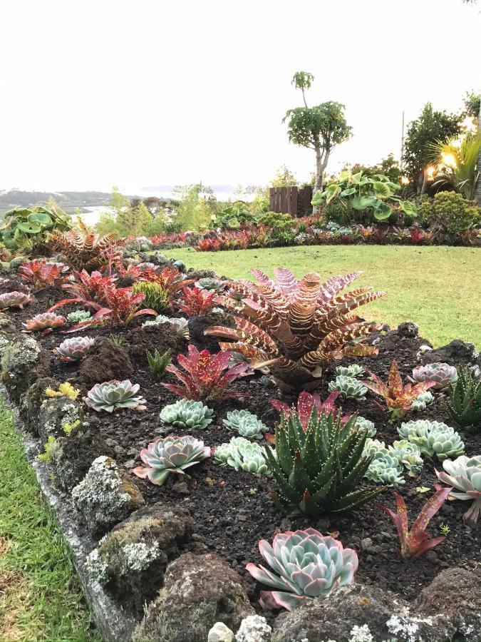 Bed and Breakfast Baywaterviews Haruru Esterno foto