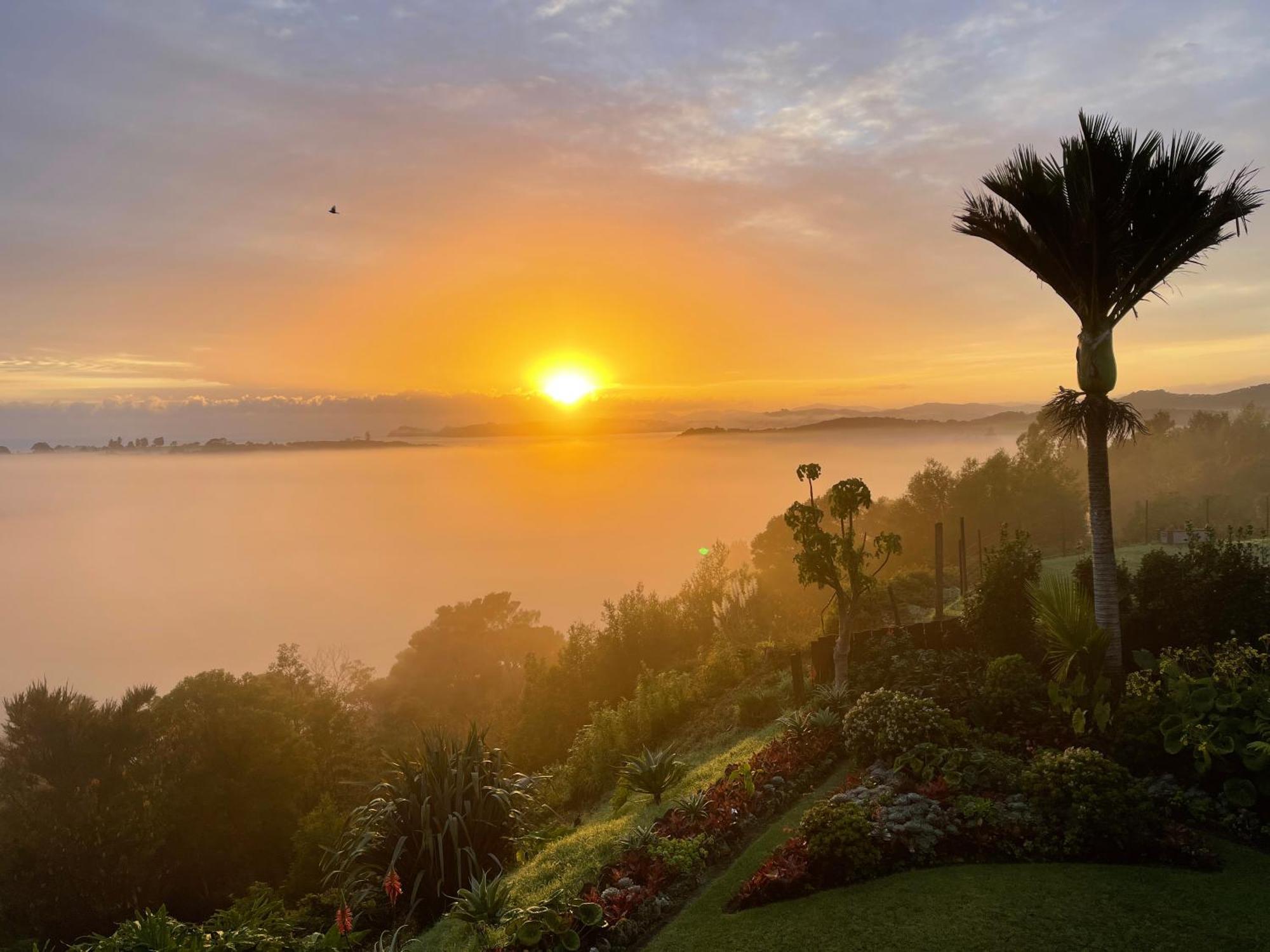 Bed and Breakfast Baywaterviews Haruru Esterno foto